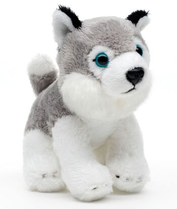 Husky Plushie, assis - 13 cm (longueur) - Mots clés : chien, animal de compagnie, peluche, peluche, peluche, peluche 1