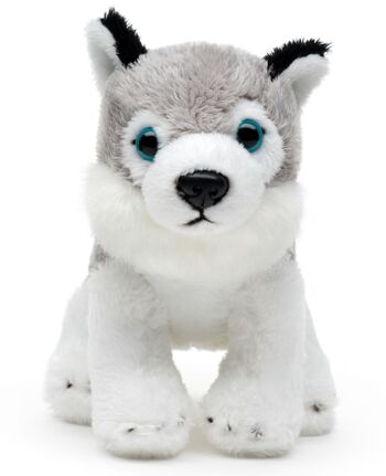 Husky Plushie, assis - 13 cm (longueur) - Mots clés : chien, animal de compagnie, peluche, peluche, peluche, peluche 2