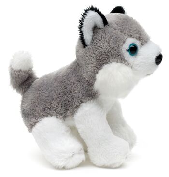 Husky Plushie, assis - 13 cm (longueur) - Mots clés : chien, animal de compagnie, peluche, peluche, peluche, peluche 3