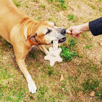 Natürliches Hundespielzeug aus Leder, Baumwolle und Juteseil