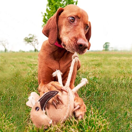 Gioco naturale per cani Fenicottero in camoscio