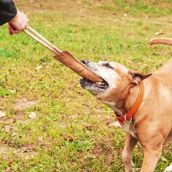 Jouet naturel pour chien avec manche en suède 1