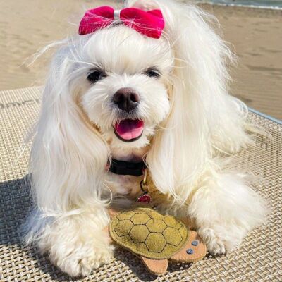 Natural toy for dogs SUEDE TURTLE