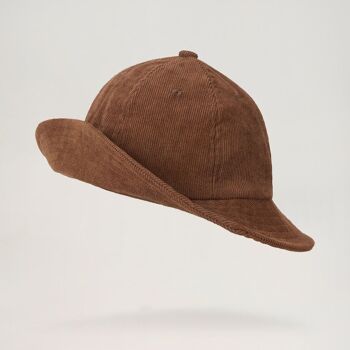Chapeau de Sylvestre 1