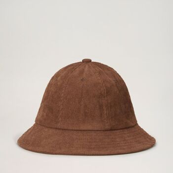 Chapeau de Sylvestre 3