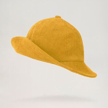 Chapeau de Sylvestre 5