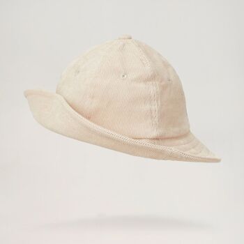 Chapeau de Sylvestre 45