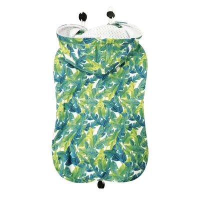 Dog raincoat - Leaves pattern