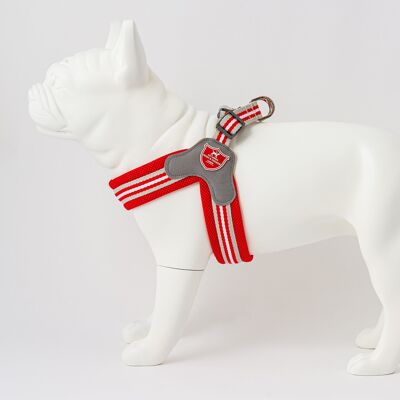 Easy Walk V Dog Harness - Red