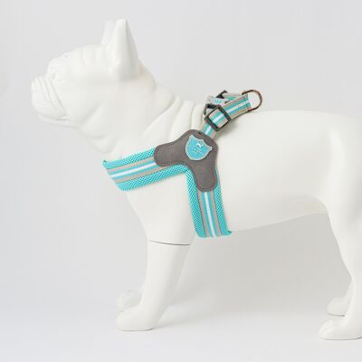 Easy Walk V Dog Harness - Aqua