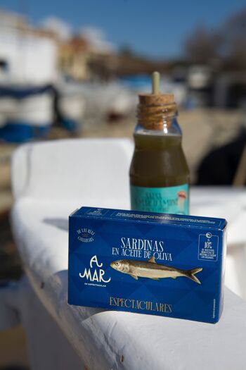Sardines à l'huile d'olive 3