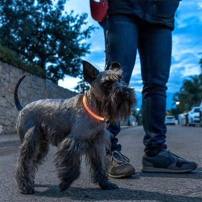 PETLUX: Luminous and Adjustable LED Collar for Animals
