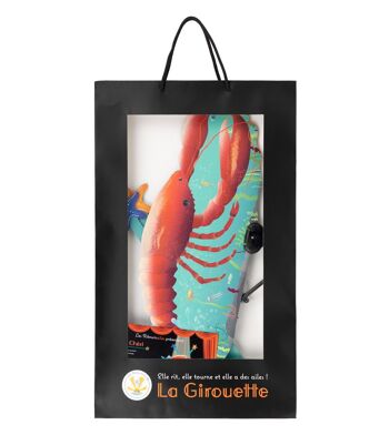 Girouette Francaise chic -colorée et resistante perroquet et macareux Coco Cannelle 12