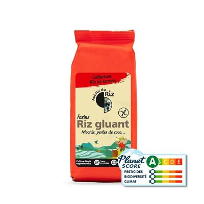 Harina de arroz glutinoso ecológica 350 g