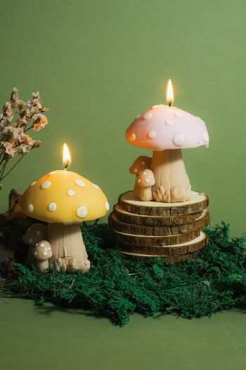 Bougie Famille Champignon 1