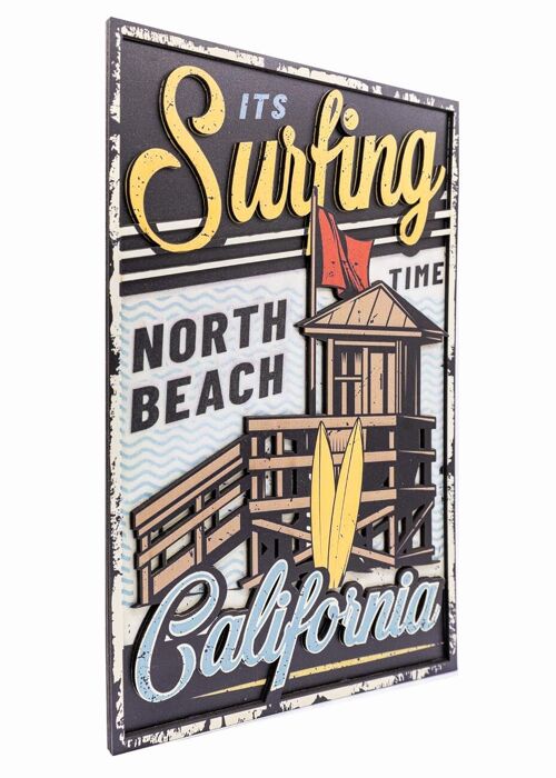 Tableau 3D Surfing California