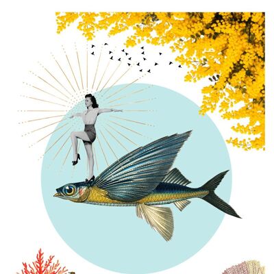 Poster di pesci volanti