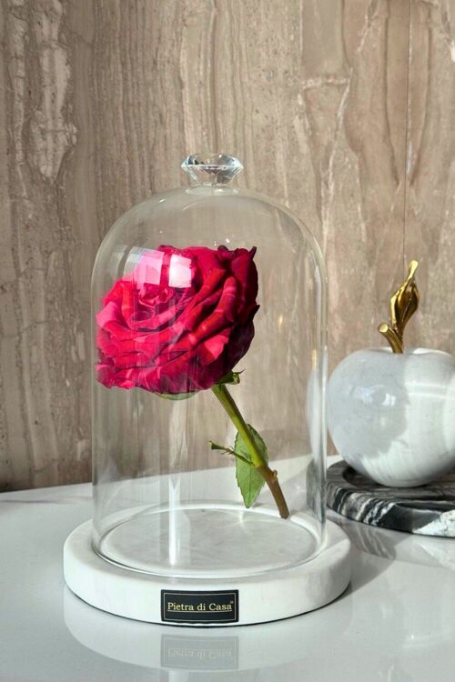 KUKU Glass Dome| Campanula| Flowerbell| Gift | Handmade