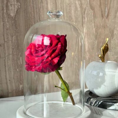 KUKU Glaskuppel | Glockenblume | Blumenglocke | Geschenk | Handgefertigt