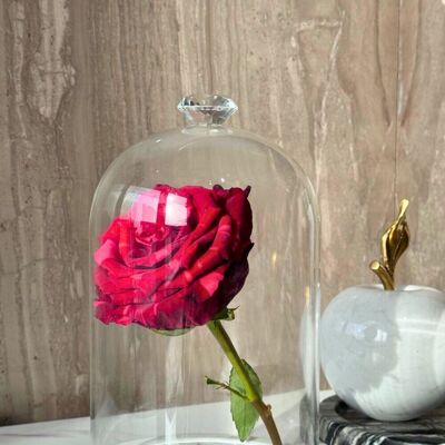 Dôme en verre KUKU| Campanule| Cloche de fleurs| Cadeau | Fait main