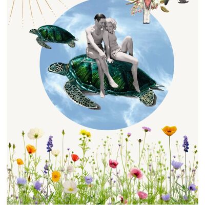 Plakat zum Schildkrötenreiten