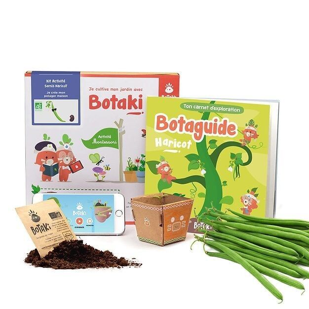 Bohnensämling-Kit | Legen Sie Ihren Hausgarten an