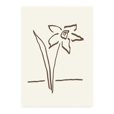 Carte postale Narcisse (Risographie)