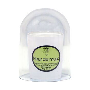 BOUGIE PARFUMEE FRAGRANCE FLEUR DE MUSC - 190G - VERRE BLANC 3