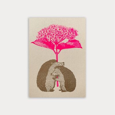 Carte postale / hérisson avec fleur / teinture végétale / papier écologique
