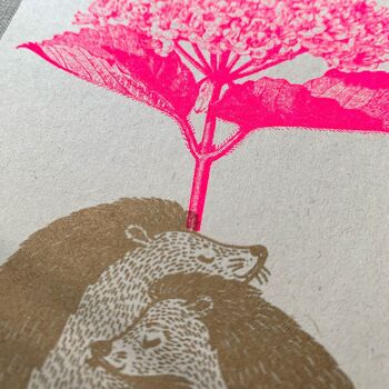 Carte postale / hérisson avec fleur / teinture végétale / papier écologique 2