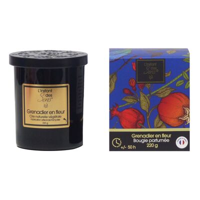 SCENTED CANDLE POMEGRANATE FRAGRANCE IN FLOWER - 220G - PREMIUM - BLACK GLASS