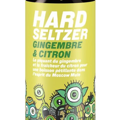 Hard Seltzer Ginger Lemon can 44CL