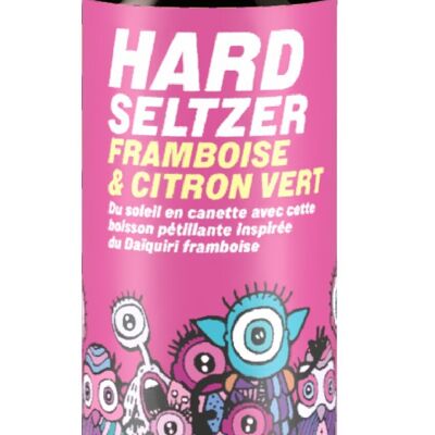 Hard Seltzer Raspberry Lime lattina 44CL