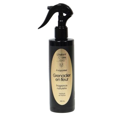 AMBIENTE SPRAY FRAGANCIA DE GRANADA EN FLOR - 250ML - PREMIUM