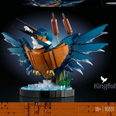 LEGO 10331 - Le martin-pêcheur Icons