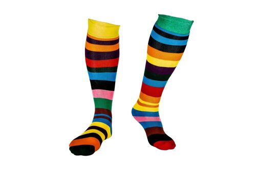 Odd Rainbow Squelch Adult Sock