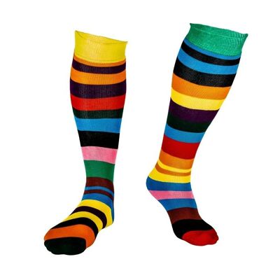 Odd Rainbow Squelch Adult Sock