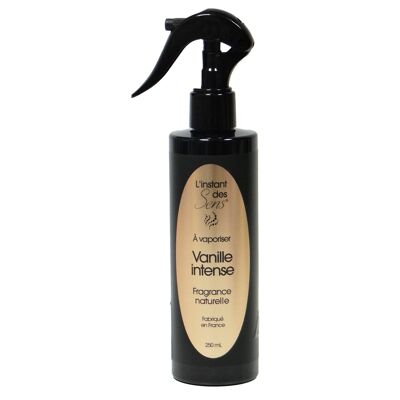 SPRAY PER AMBIENTE FRAGRANZA INTENSA VANIGLIA - 250ML - PREMIUM