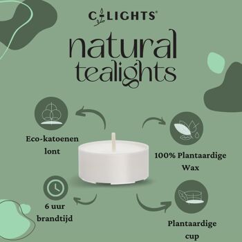 Bougies chauffe-plat naturelles C-lights | NOUVEAU PACK | 40 pièces | Végétalien | Cire 100 % végétale et mèche en coton écologique. 4