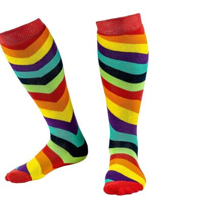 Diagonal Rainbow Squelch Adult Sock