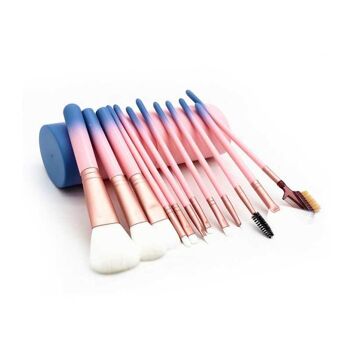 PROFESSIONAL MAKEUP BRUSHES : Set de 12 Pinceaux de Maquillage avec Etui 3