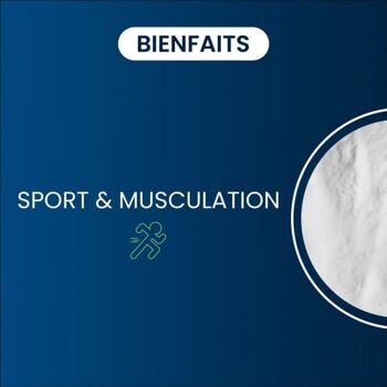 CRÉATINE MONOHYDRATE - QUALITÉ BREVETÉE CREAPURE® - 250 G 2