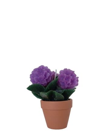 BOUGIE "POT" AUX FLEURS VIOLES DIMENSION: 10x13cm CA-027B