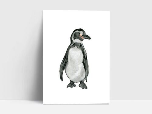 Postkarte, Pinguin