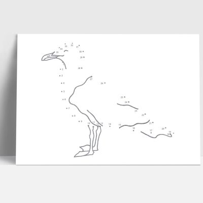 Postcard, seagull, dot-to-dot picture