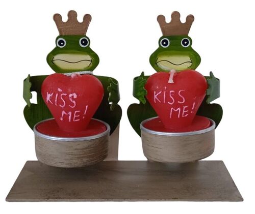DOUBLE METAL CASE FOR RESO "FROGS" DIMENSION: 12x5x9cm CA-235