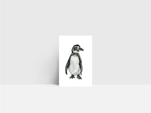 Mini-Karte, Pinguin