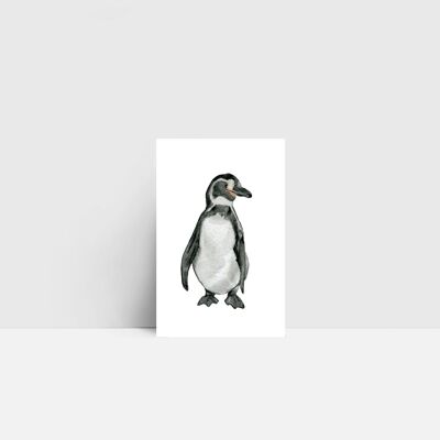 Mini carta, pinguino