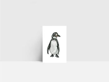 Mini carte, pingouin