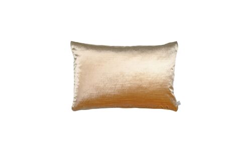 Valencia 40x60 cm Light Gold (per 2)